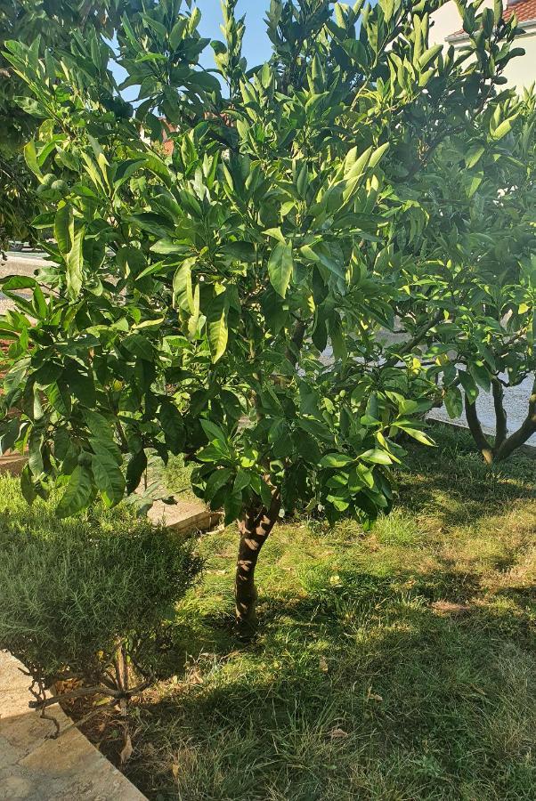 Apartman Maja Zadar Dış mekan fotoğraf